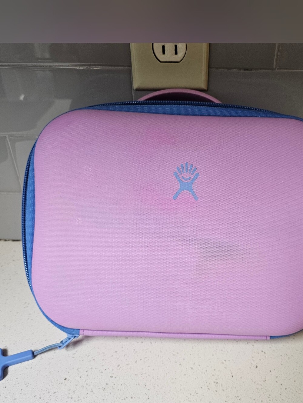 Hydro Flask Insulated Lunch Box